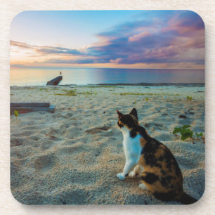 Porta-copo Gato que senta-se em uma praia