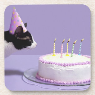 Porta-copo Gato que veste o chapéu do aniversário que funde
