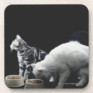 Porta-copo Gatos com a bacia de comida