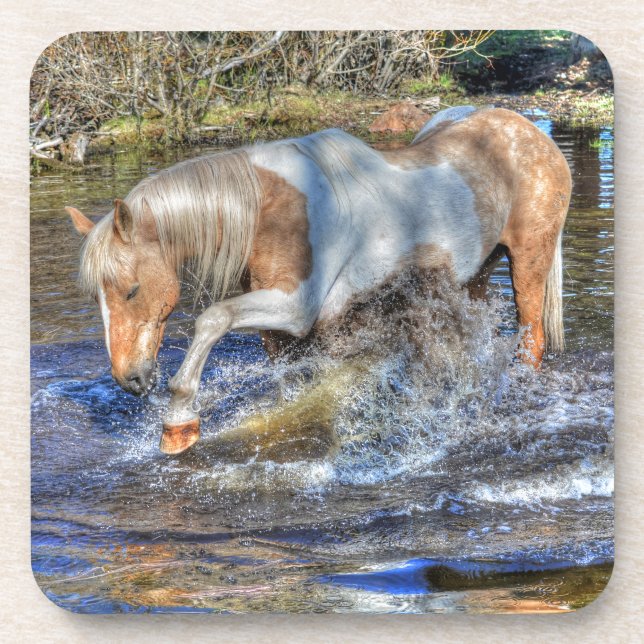 Porta-copo Gentle Palomino Pinto Stallion Brincando em Pond (Frente)