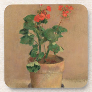 Porta-copo Gerânio em um pote, c.1905 (óleo em canvas)