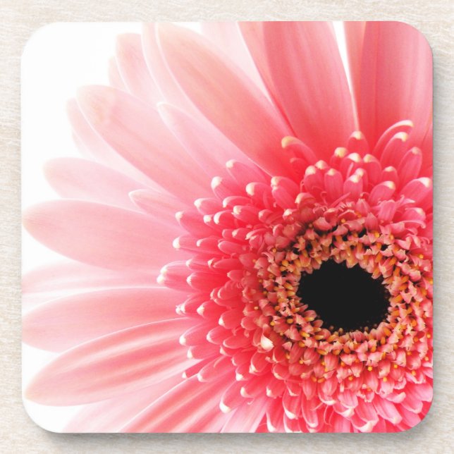 Porta-copo Gerbera Daisy Poster (Frente)