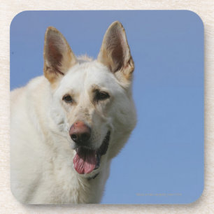 Porta-copo German shepherd branco