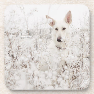 Porta-copo German shepherd branco na neve