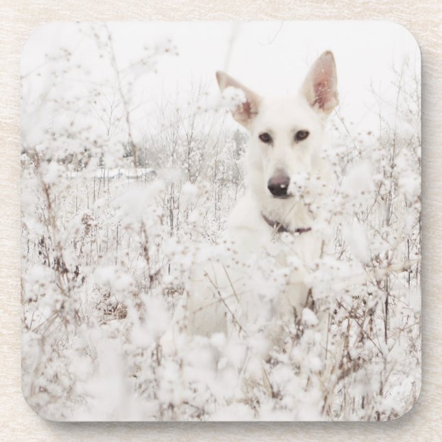 Porta-copo German shepherd branco na neve (Frente)
