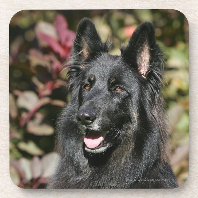 Porta-copo German shepherd de cabelos compridos preto (Frente)