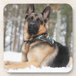Porta-copo German shepherd Na Neve