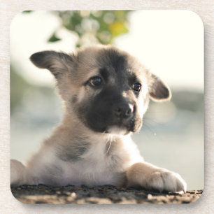 Porta-copo German shepherd Puppy Sobre A Borda