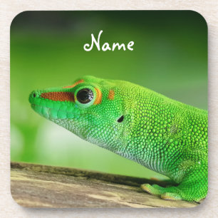 Porta-copo Giant Green Day Gecko - Phelsuma grandis