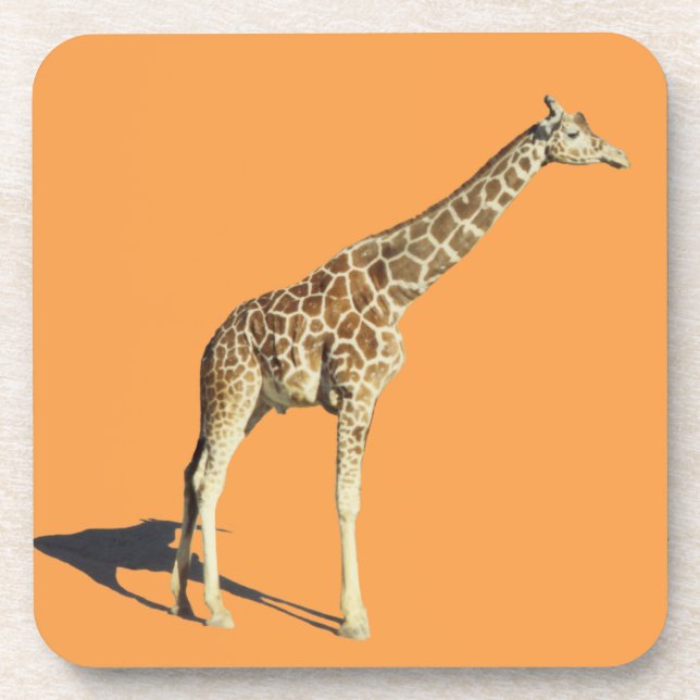 Porta-copo Girafa (Frente)