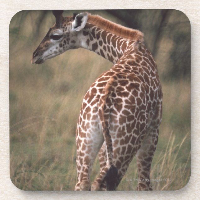 Porta-copo Girafa 2 de Massai (Frente)