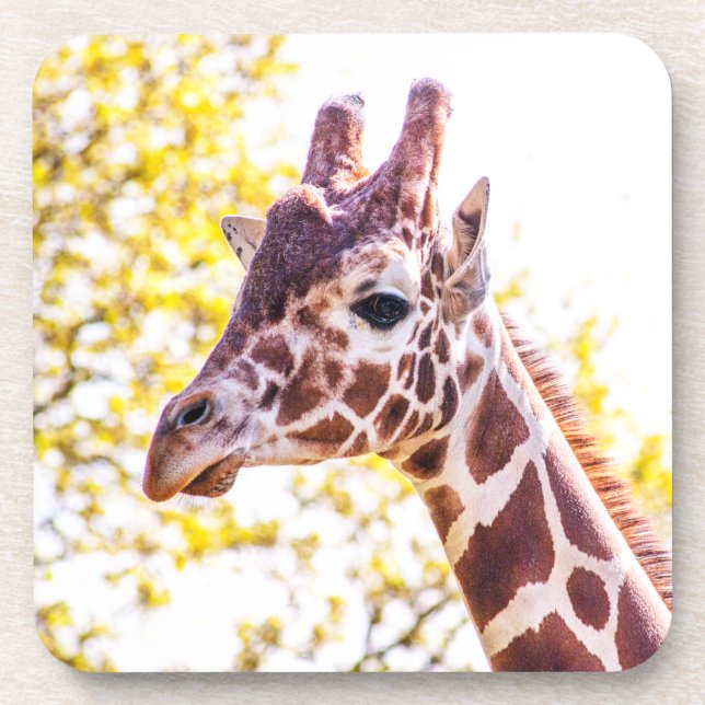 Porta-copo Giraffe Portrait (Frente)