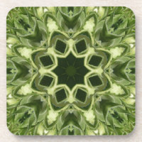 Girassol não aberto