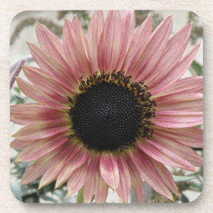 Porta-copo Girassol rosa pálido