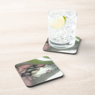 Porta-copo Glider de açúcar dormindo no cobertor