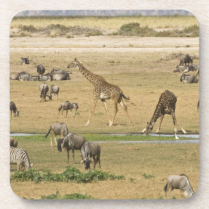 Porta-copo Gnus, Zebras e Girafas