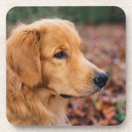 Porta-copo Golden Retriever