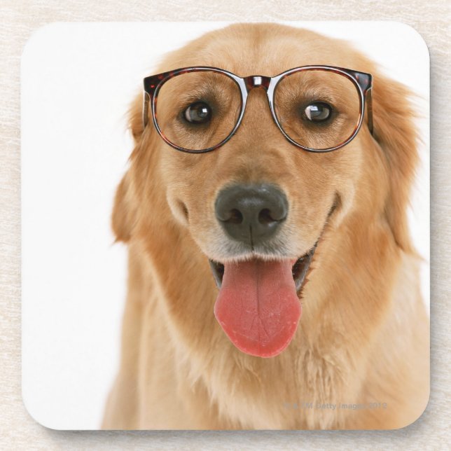 Porta-copo Golden retriever 3 (Frente)