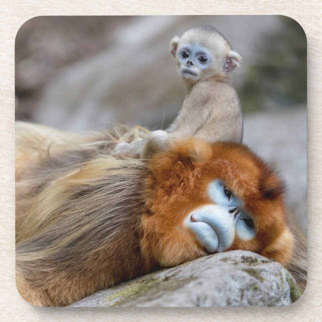 Porta-copo Golden Snub-nosed Monkey Dad with Baby (Frente)
