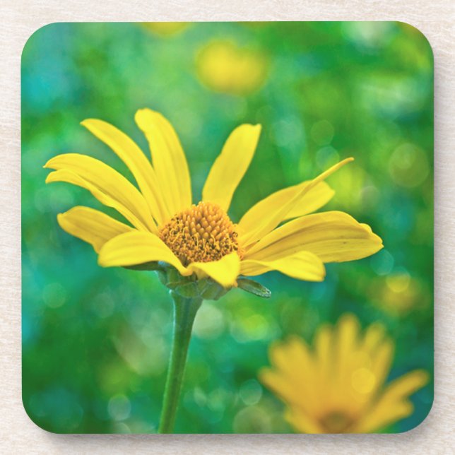 Porta-copo Goldie (Frente)