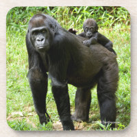 Gorila infantil da planície na parte traseira da