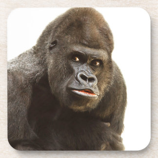 Porta-copo Gorilla Pout