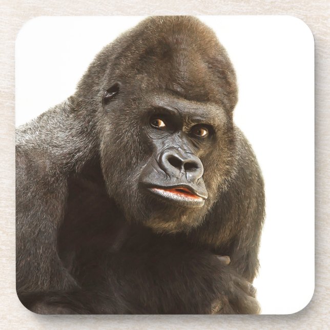 Porta-copo Gorilla Pout (Frente)