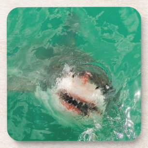 Porta-copo Grande branco Shark1