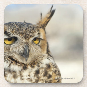 Porta-copo Grande coruja Horned (virginianus) do bubão,