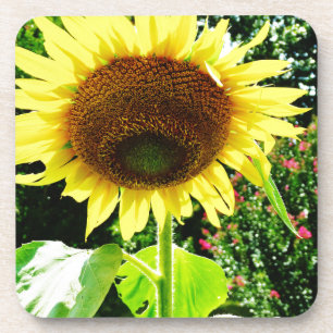 Porta-copo Grande girassol amarelo
