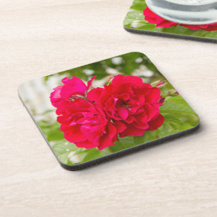 Porta-copo Grandes rosas vermelhas no jardim
