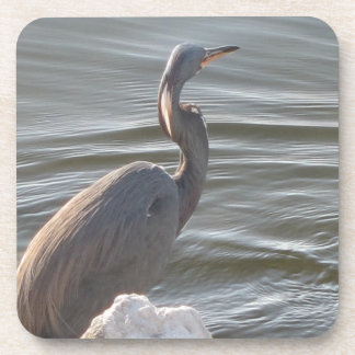 Porta-copo Great Blue Heron by the Water