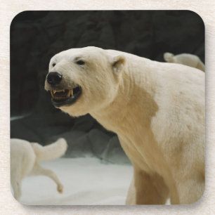 Porta-copo Grin do Urso Polar