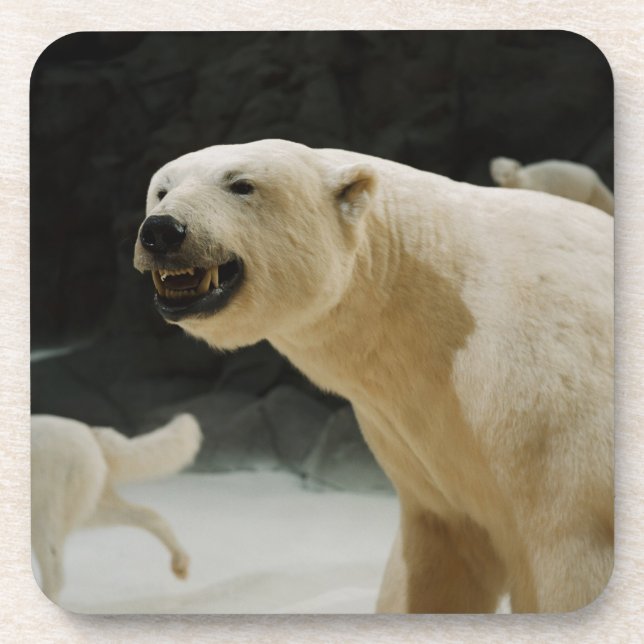 Porta-copo Grin do Urso Polar (Frente)