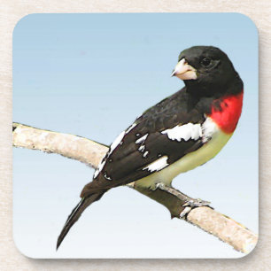 Porta-copo Grosbeak-Breast