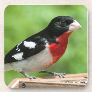 Porta-copo Grosbeak de peito rosa