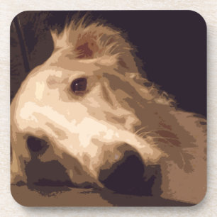 PORTA-COPO GRUPO DE 6 PORTAS COPOS DO BORZOI