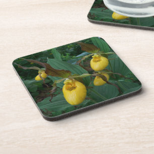 Porta-copo Grupo de Flores das Orquídeas de Escorrega Amarela