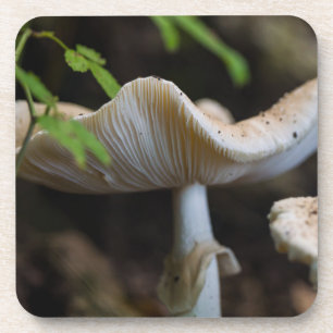 Porta-copo Guarda-chuvas