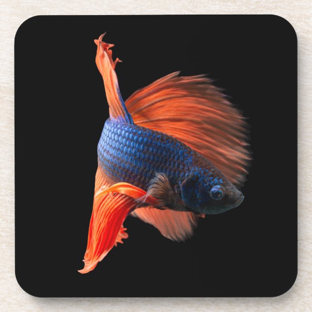 Porta-copo Halfmoon Betta Fish (Frente)
