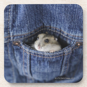 Porta-copo Hamster no bolso