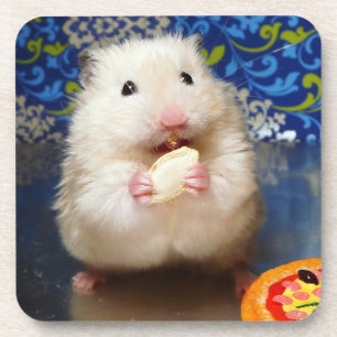 Porta-copo Hamster sírio macio Kokolinka que come uma sement