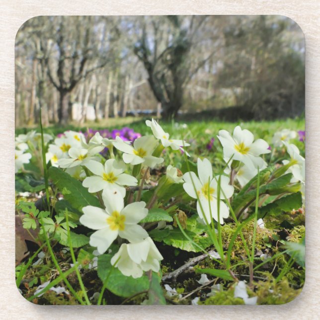 Porta-copo Harbinger de Primavera (Frente)