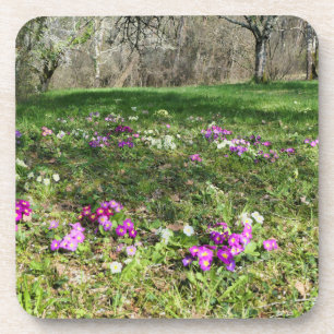 Porta-copo Harbinger de Primavera