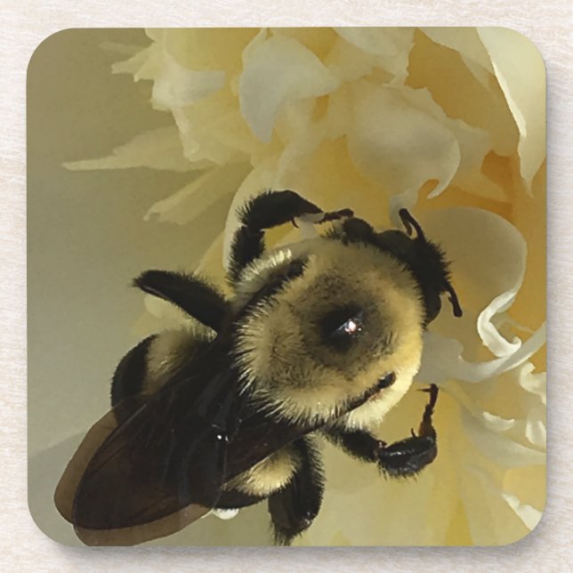 Porta-copo Hard plastic coaster bumblebee on peony flower (Frente)