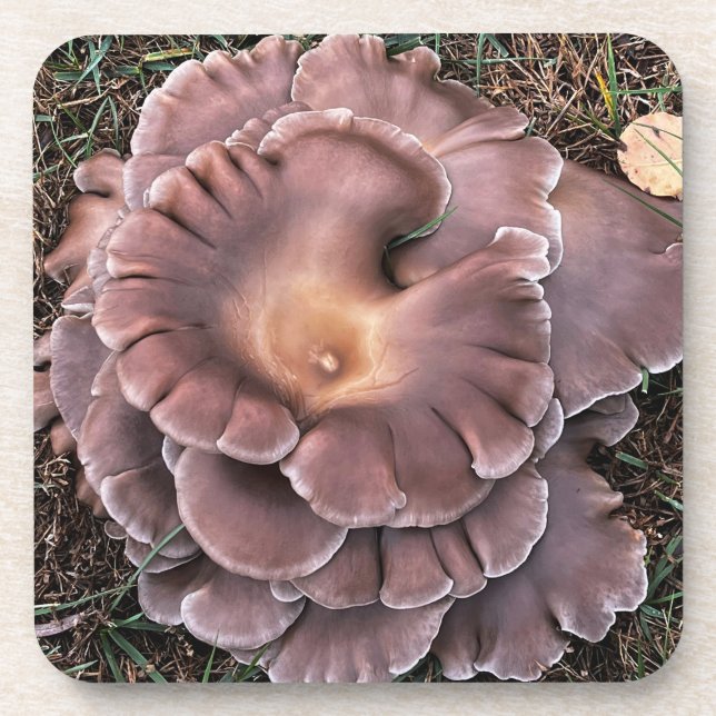 Porta-copo Hard plastic coaster Fungi (Frente)