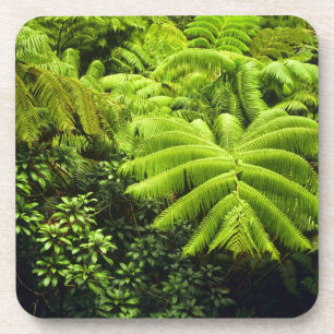 Porta-copo Havaí, Ilha Grande, Verde tropical exuberante em 