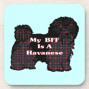 PORTA-COPO HAVANESE BFF