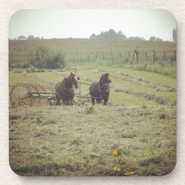 Porta-copo Hay Time (Frente)