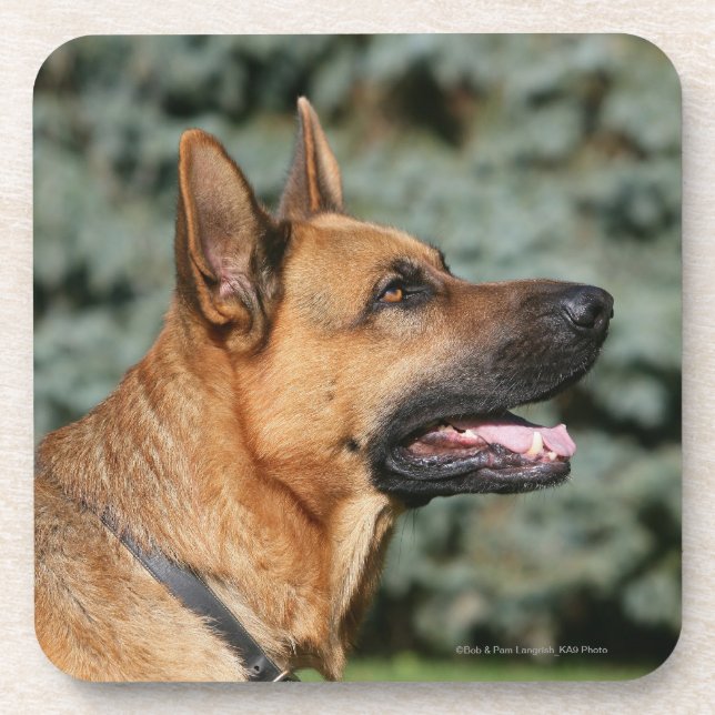 Porta-copo Headshot 1 do german shepherd (Frente)